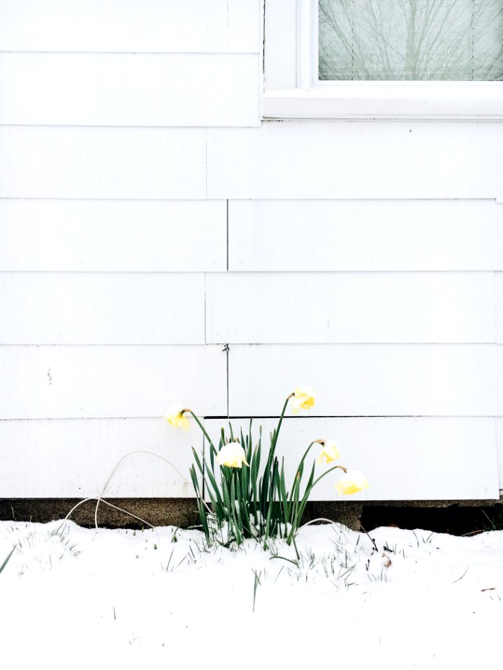 Groton, United states, Spring