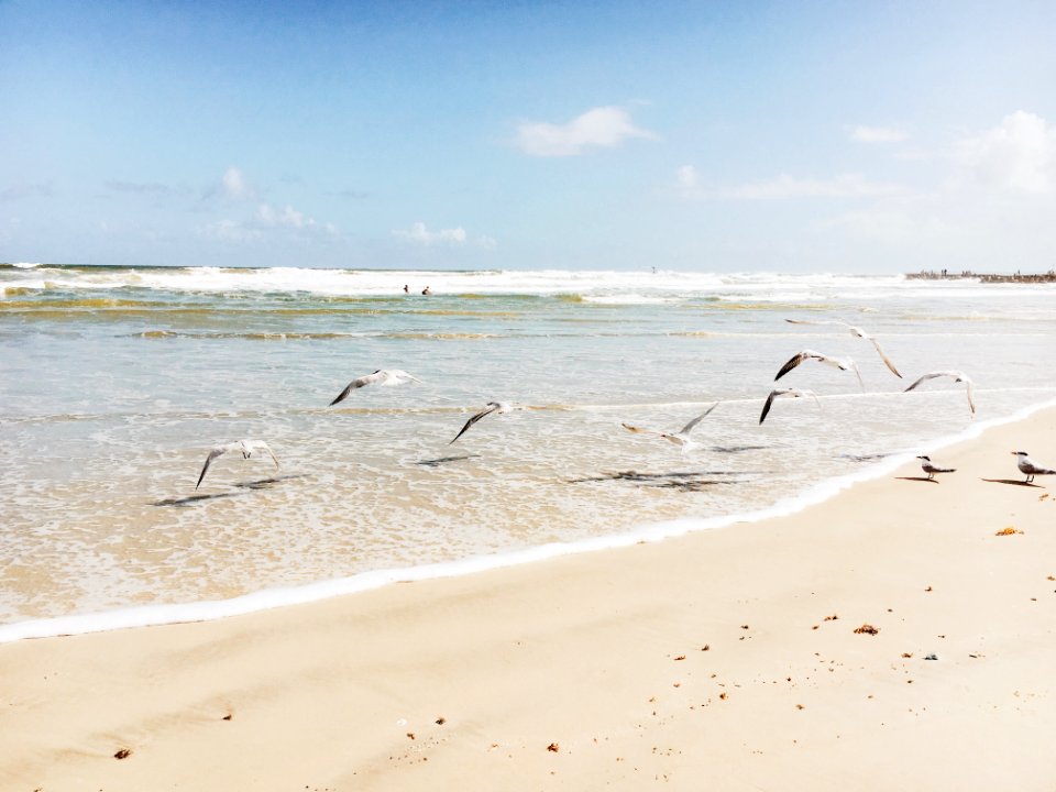 Port orange, United states, Ocean