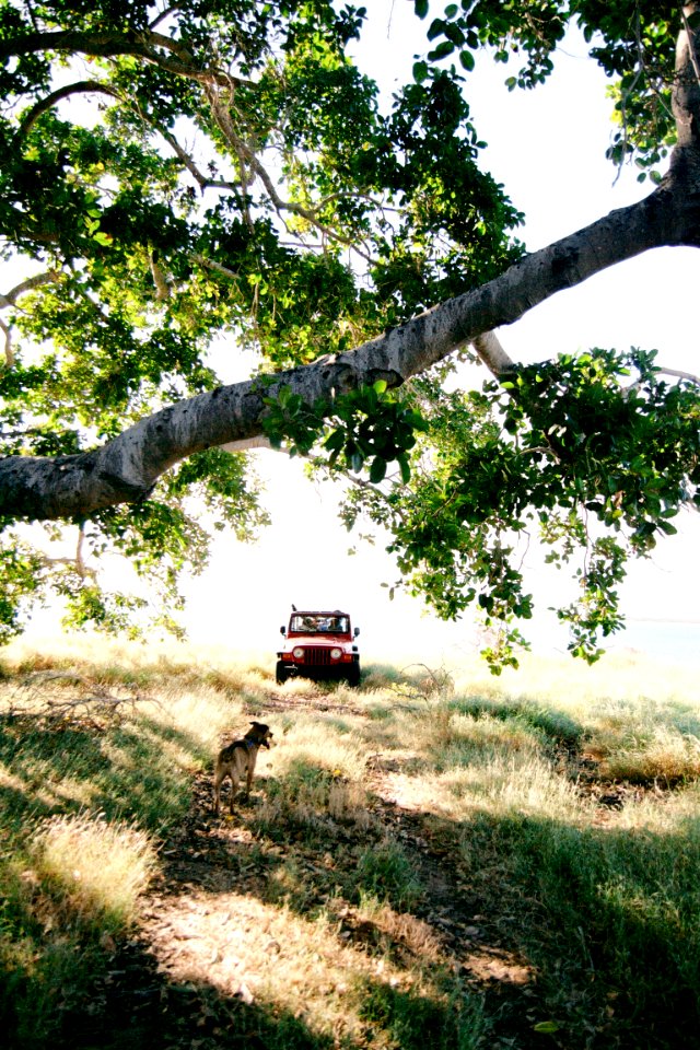 Guantanamo, Cuba, Car