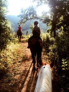 Marshall, United states, Horseback riding photo