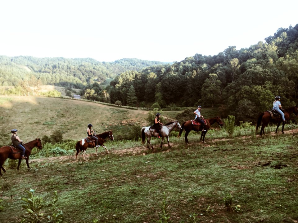Marshall, United states, Animals