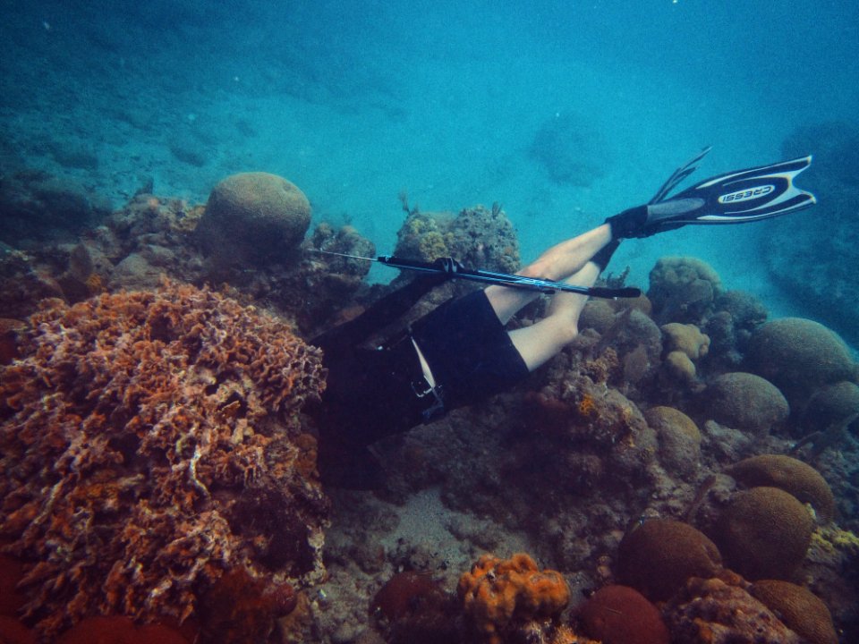Guantanamo, Cuba, Dive