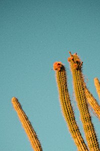 Guantanamo, Cuba, Sky