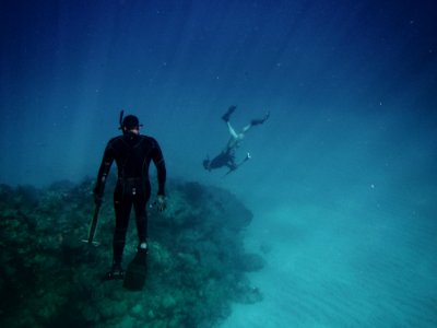 men freediving on coral reefs photo