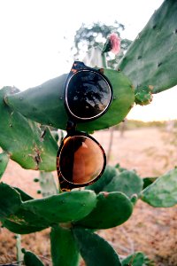Guant namo bay, Light, Sunglasses
