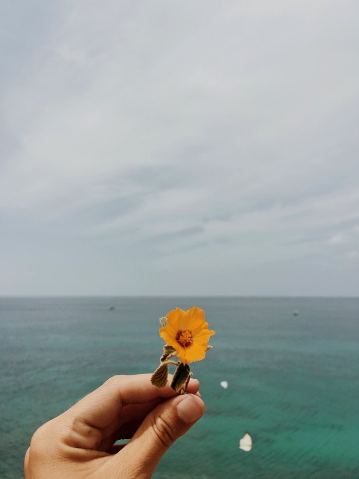 Cuba, Guantanamo, View