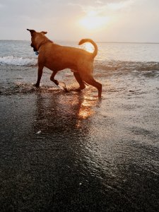 Guantanamo, Cuba, Beach