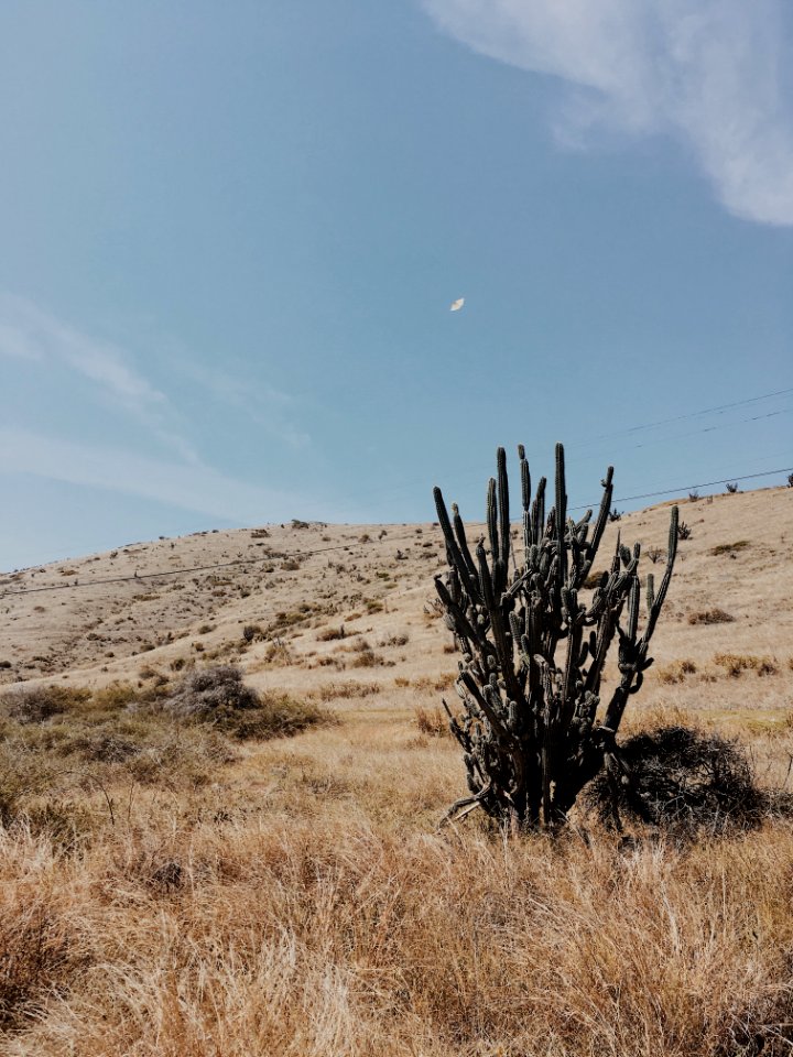 Desert, Guantanamo, Cuba