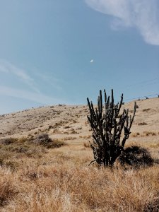 Desert, Guantanamo, Cuba