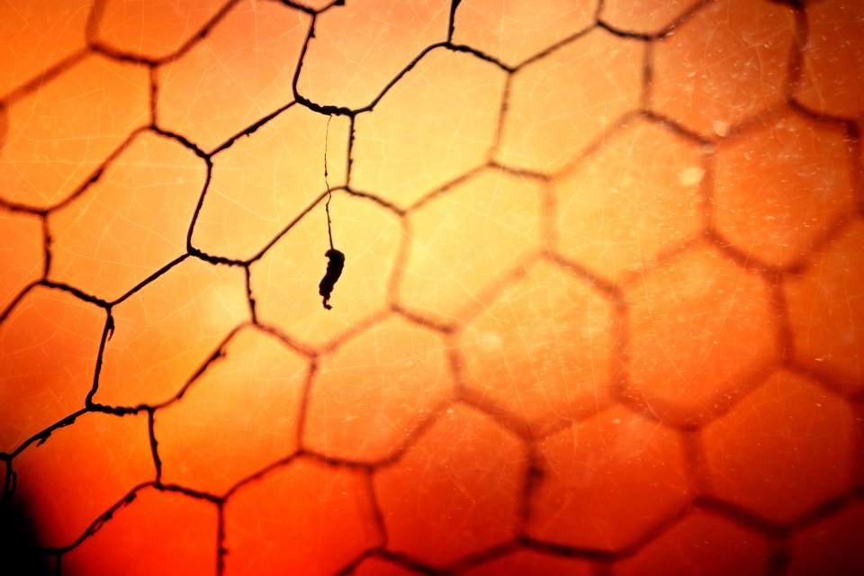 Structure, Orange, Yellow