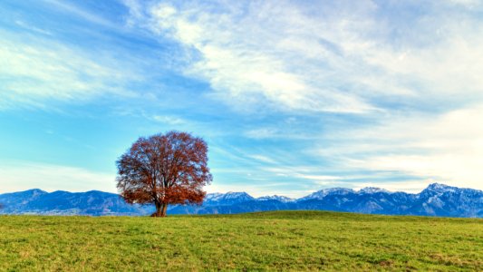 Clouds, Sky, Grass
