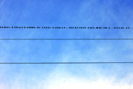 Sky, Power, Cable