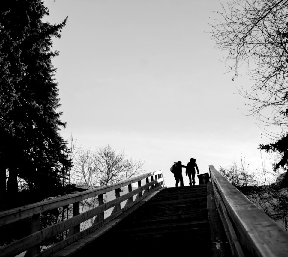 two people in a stairs near tree grey-scale photography photo