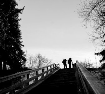 two people in a stairs near tree grey-scale photography