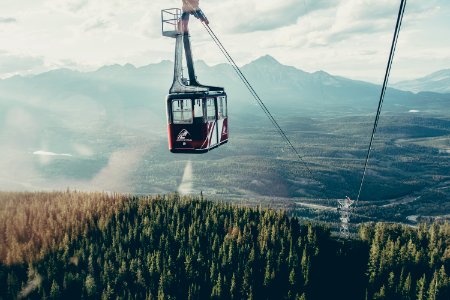 red and white cable cart above trees covered mountain photo