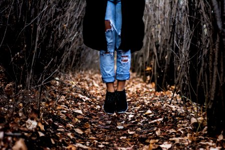 person standing on dried leaves