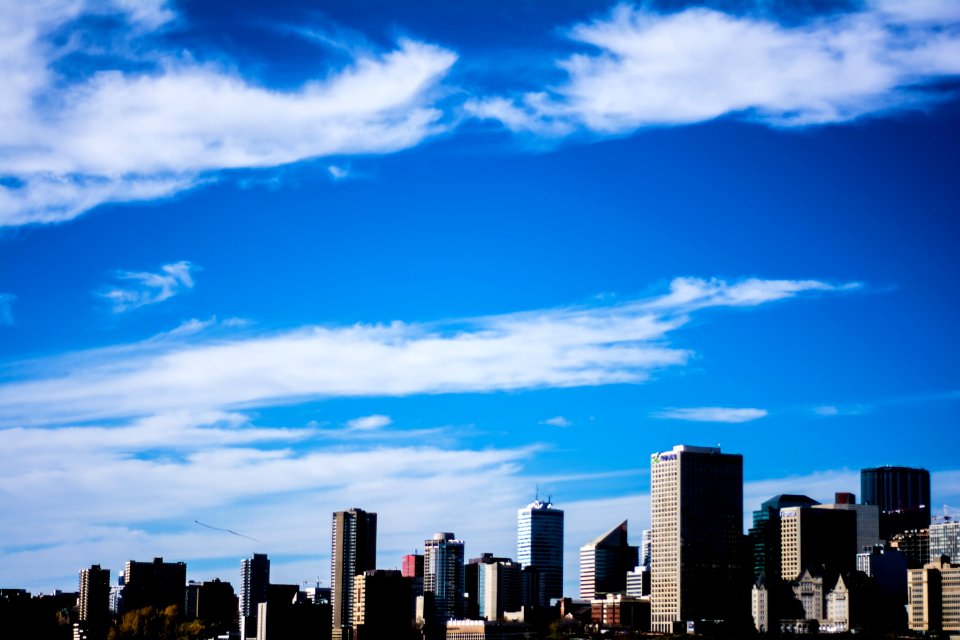 city view during daytime