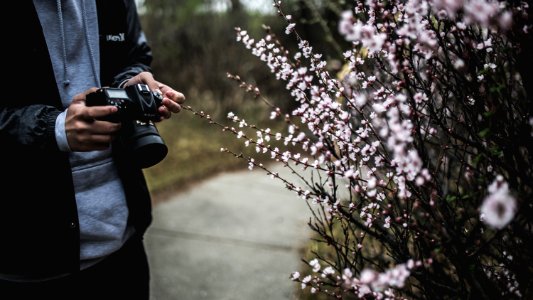 person holding black camera beside white flowers