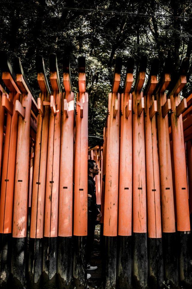 brown metal postst