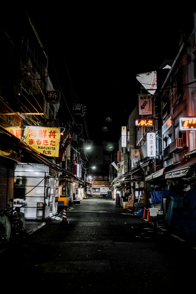 road between houses