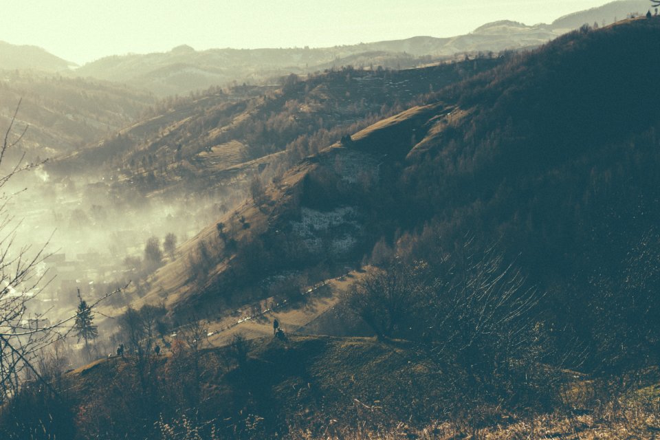 aerial view of green trees and mountains during daytime
