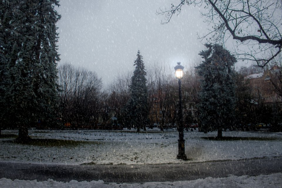 Christmas, Evening, Snow
