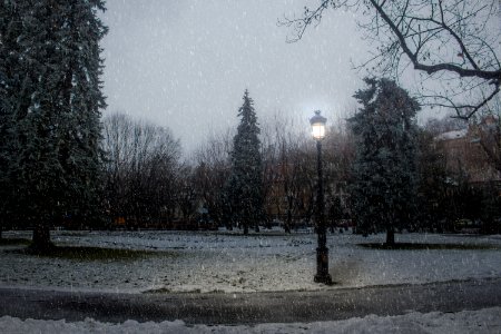 Christmas, Evening, Snow
