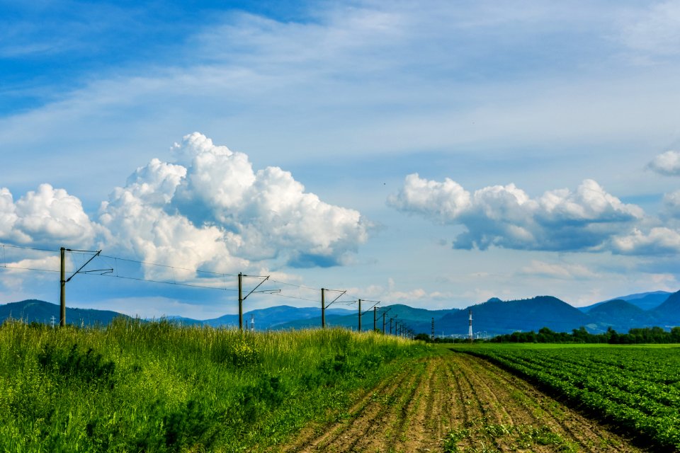 green grass field under blue sky and white clouds during daytime