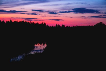 photo of trees during night time photo