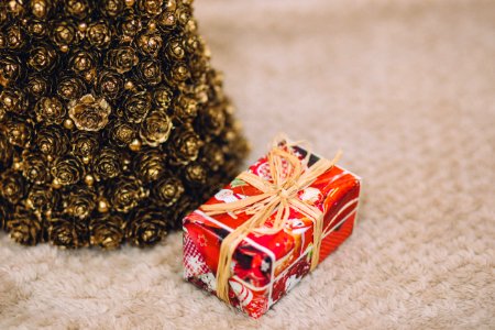 A single wrapped present sitting next to an artificial Christmas tree. photo