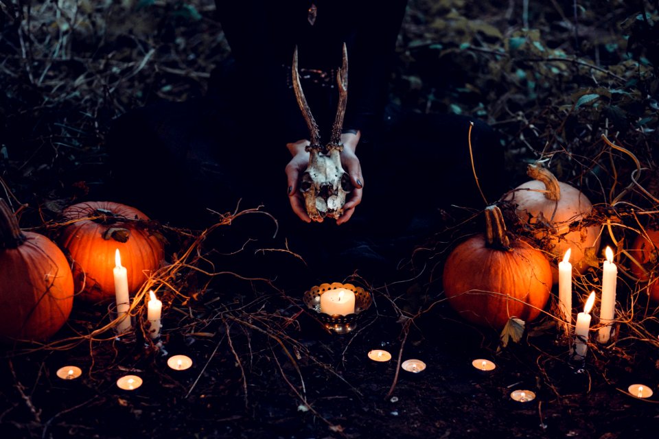 person holding cattle skull surrounded by squash and candles