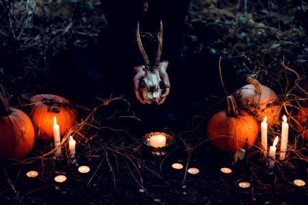 person holding cattle skull surrounded by squash and candles