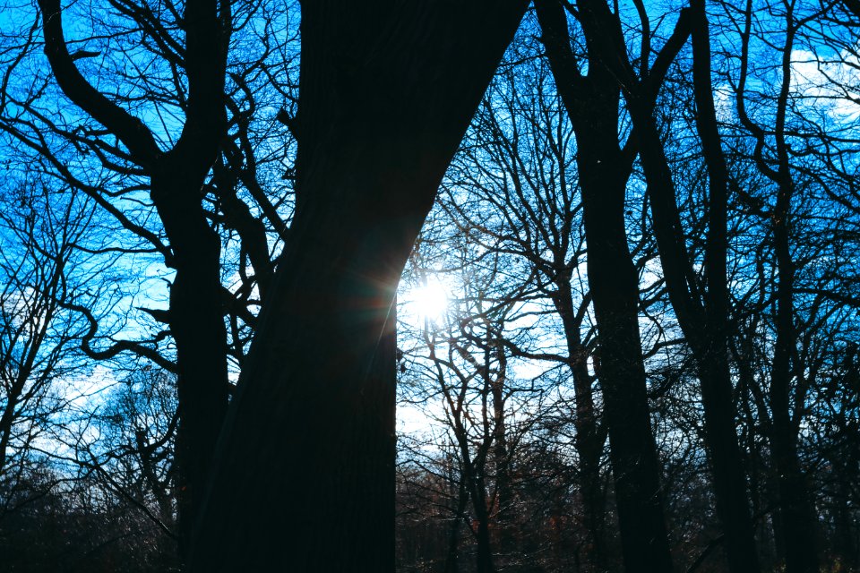 Engl, United kingdom, Silhouette