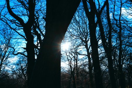 Engl, United kingdom, Silhouette photo