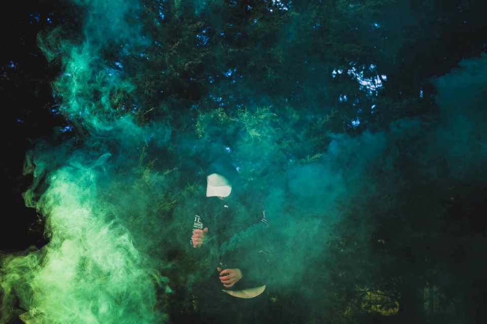 Fashion, Mist, Forest