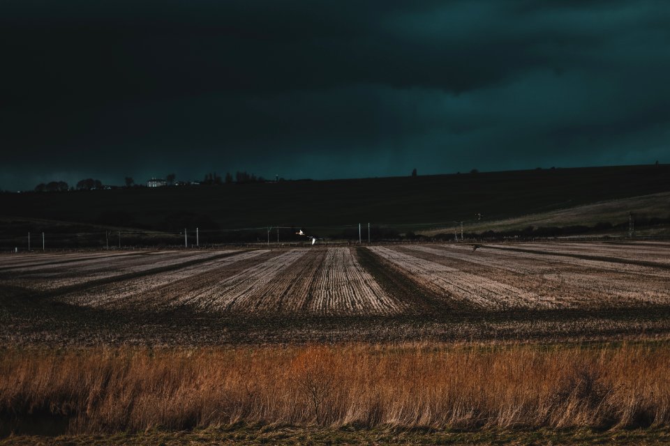 photo of brown grass field photo