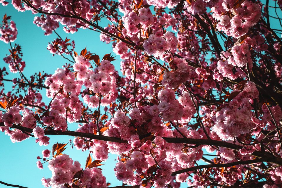 Hadleigh, United kingdom, Spring