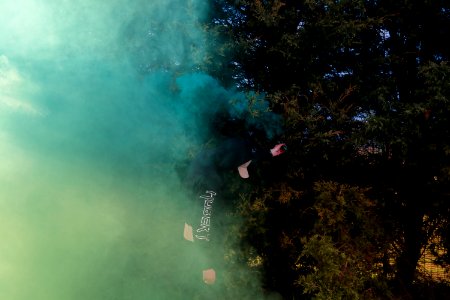 green trees with blue smoke