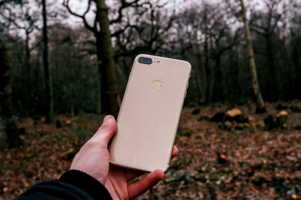 Belfairs woods, Southendonsea, United kingdom