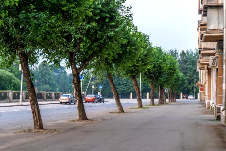 Summer, House, Road