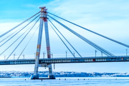 Cherepovets, Russia, Fish