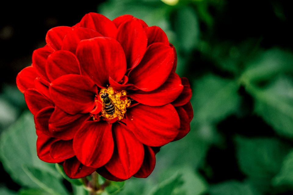 Cherepovets, Russia, Red