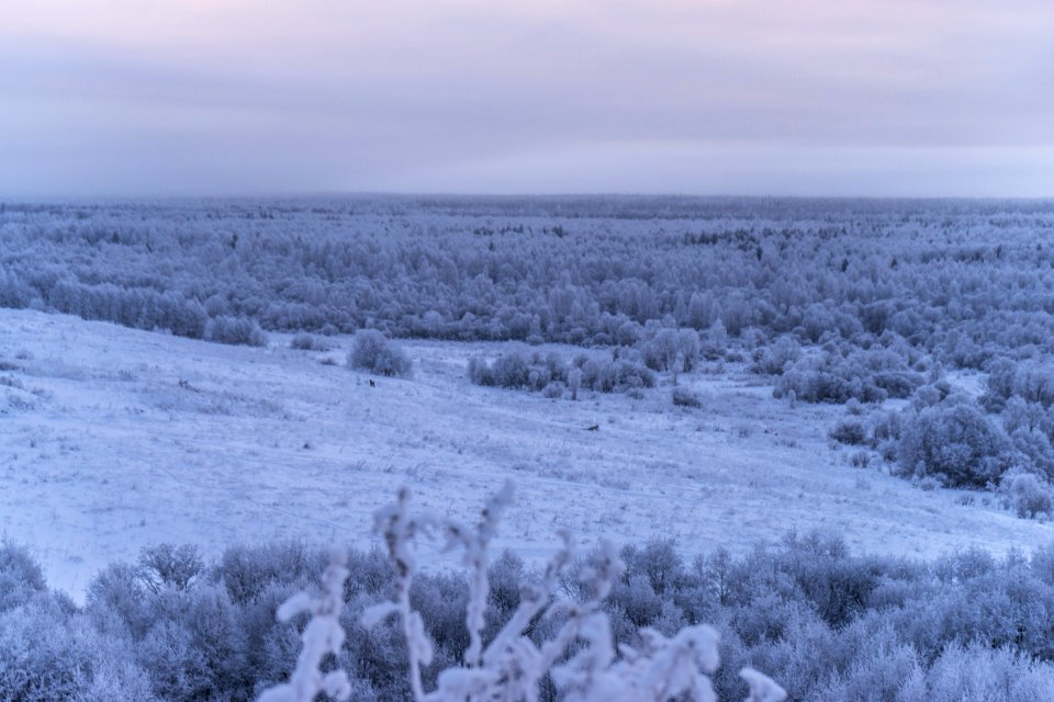 Cherepovets, Russia, Field