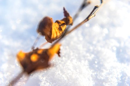 Cherepovets, Russia, Bokeh photo