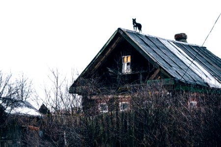 Cherepovets, Russia, House photo