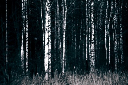 Cherepovets, Russia, Texture