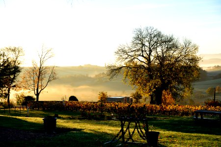 Dareiz, France