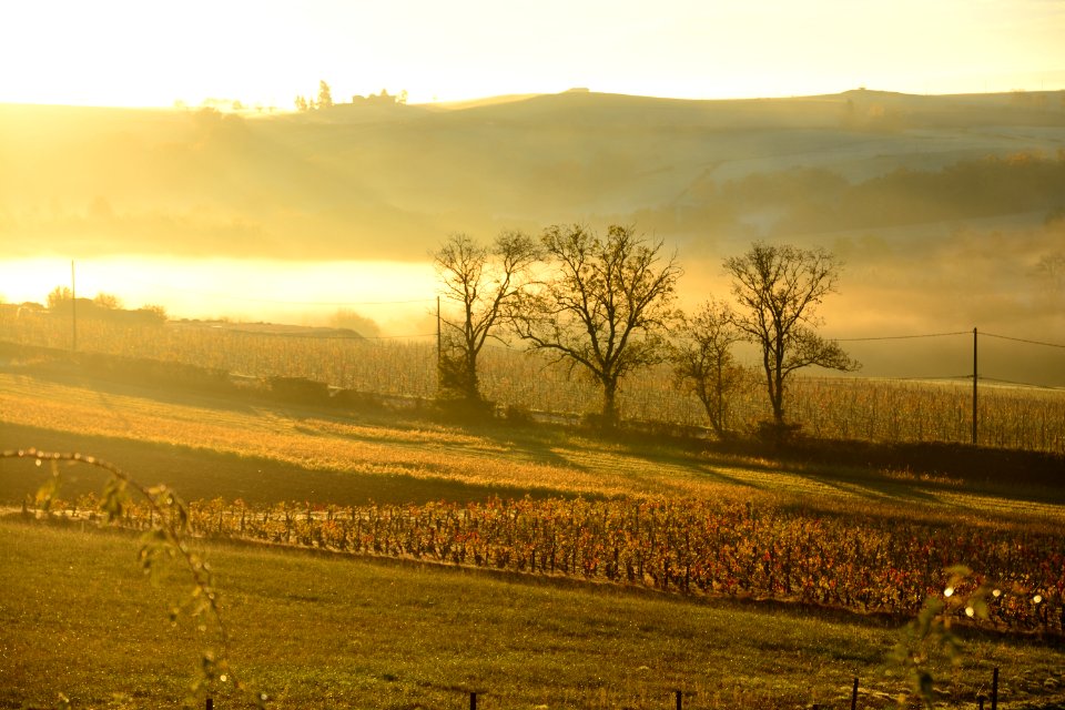 Dareiz , France, Wallpaper