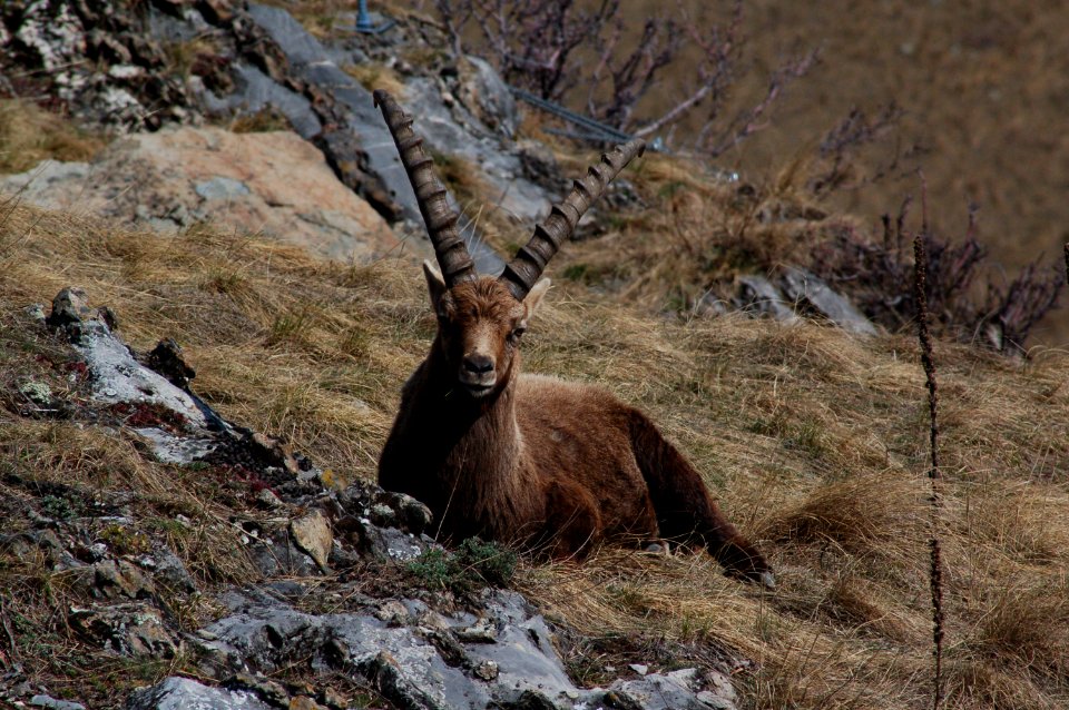 Saintmicheldemaurienne, France