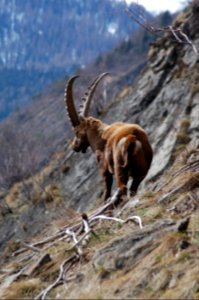 Saintmicheldemaurienne, France, Mountain